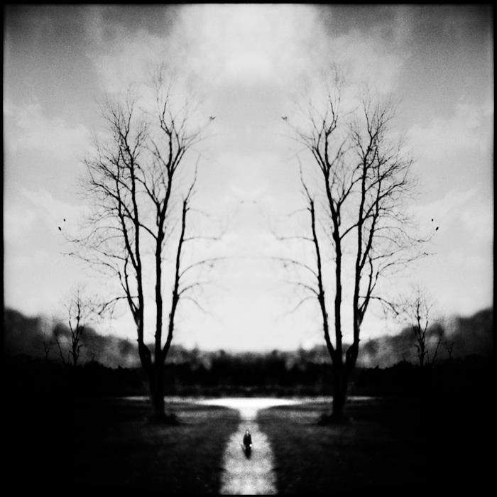 Nanne Springer