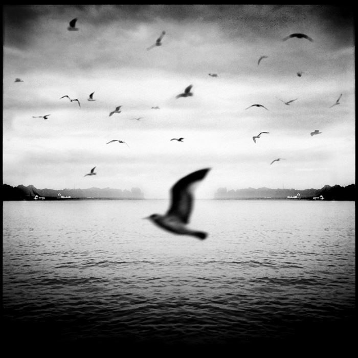 Nanne Springer