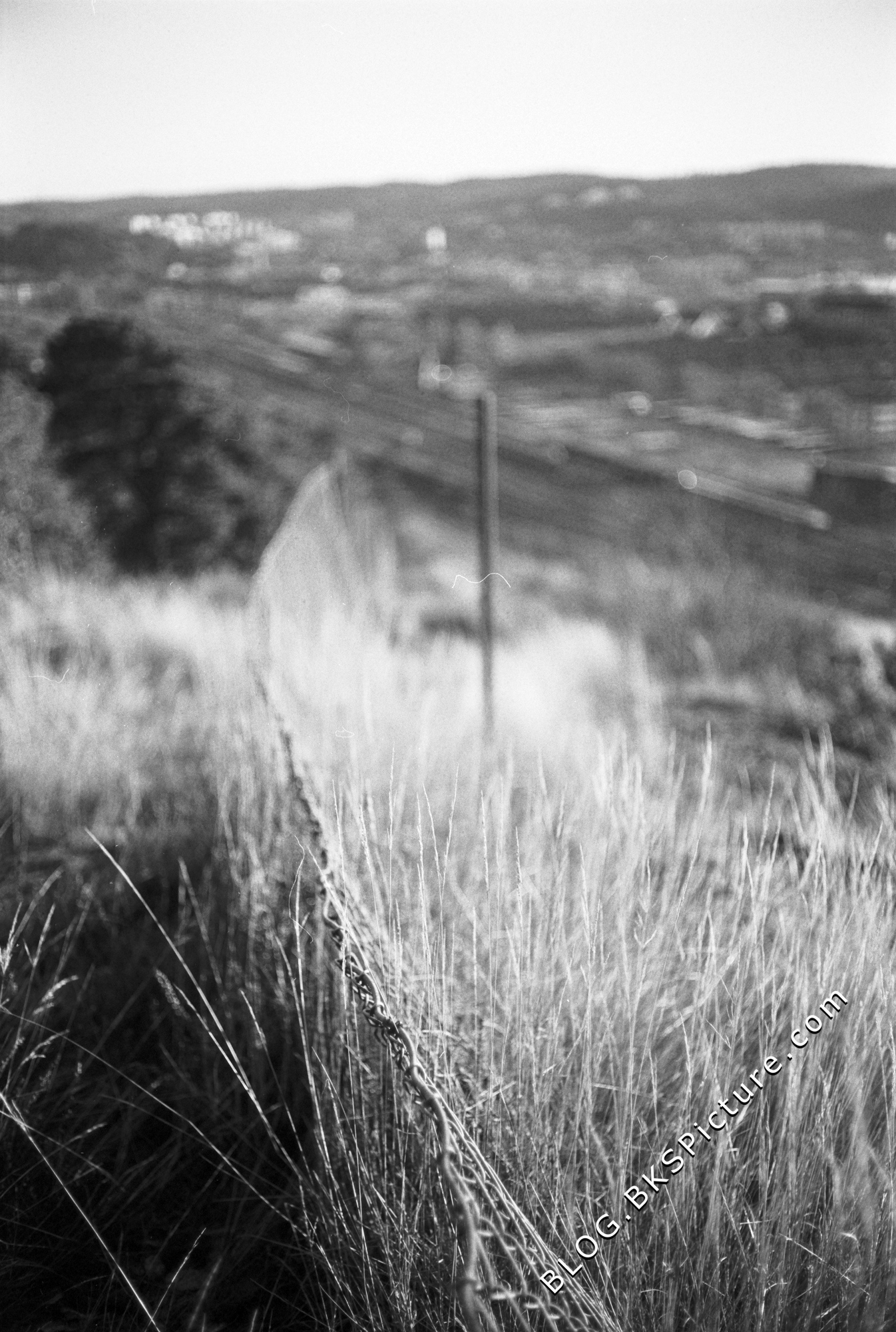 Canon Canonet QL17