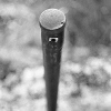Carenar
                                                          50mm f/2.8
