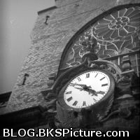 Holga
                                                          135BC