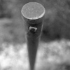Meyer-optik















                                                          Grlitz
                                                          Orestegon 29mm
                                                          f/2.8